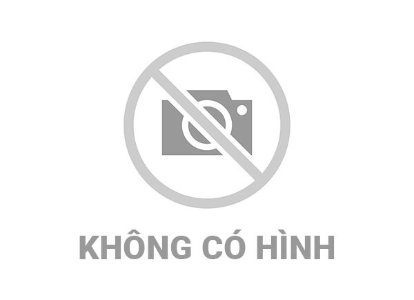 Hội nghị tổng kết công tác nội chính, phòng, chống tham nhũng, lãng phí, tiêu cực, cải cách tư pháp và Quy định số 11-QĐi/TW năm 2024